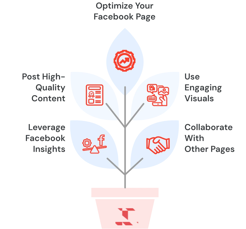 Best Organic Strategies To Grow On Facebook